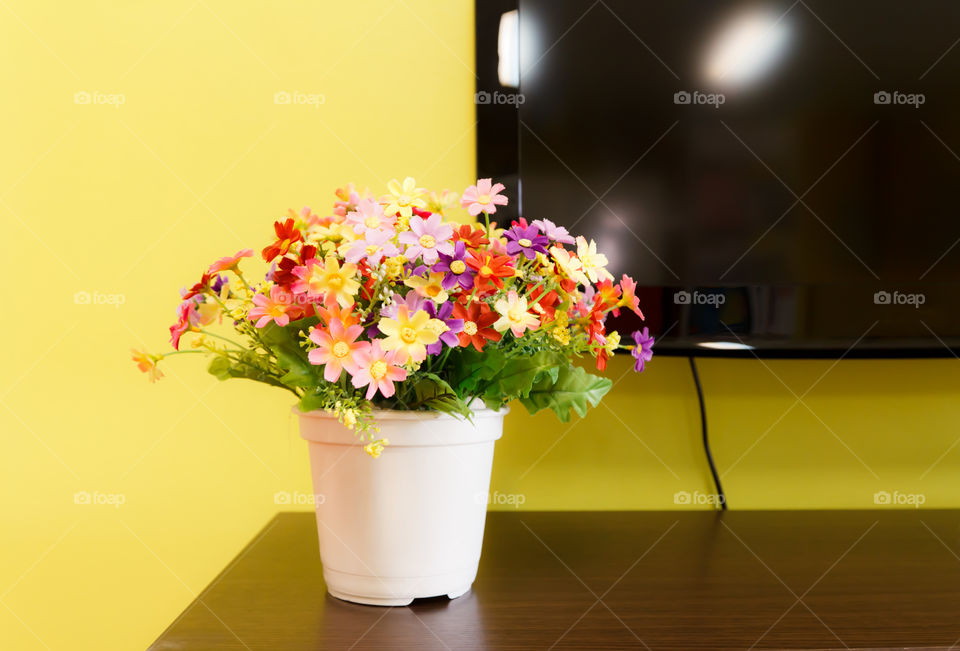 flower in room. flower pot in living room