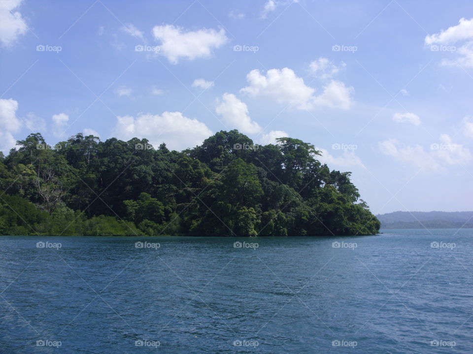 Landscape, Water, Tree, Lake, Island