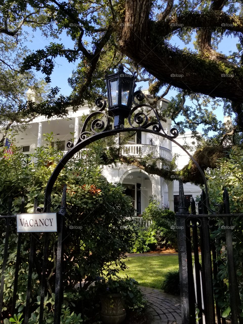 Tree, Old, No Person, Architecture, Garden