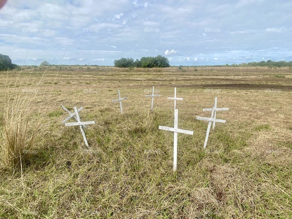 A field of dry grass with a circle of small white wooden crosses and a blue sky