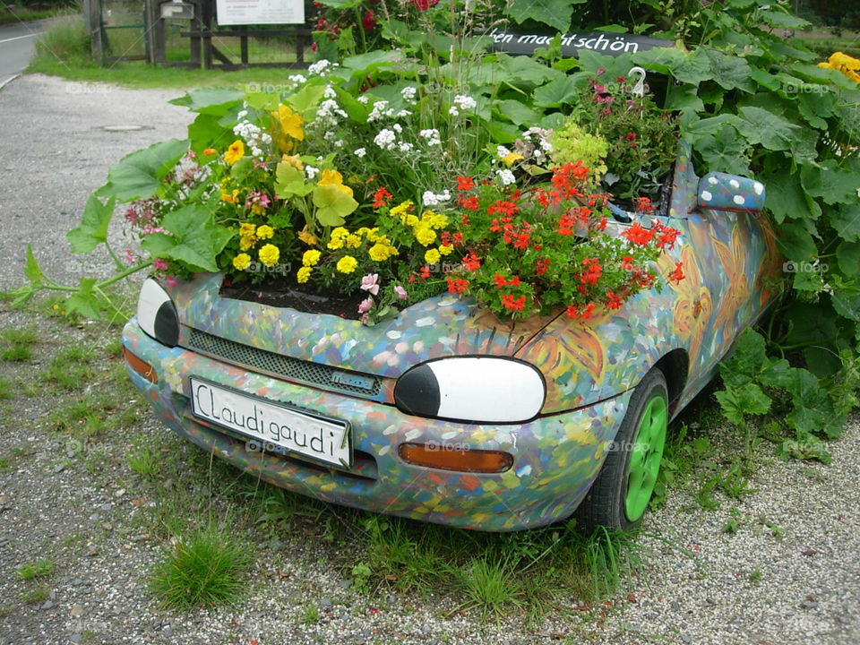 Auto mit Blumen 