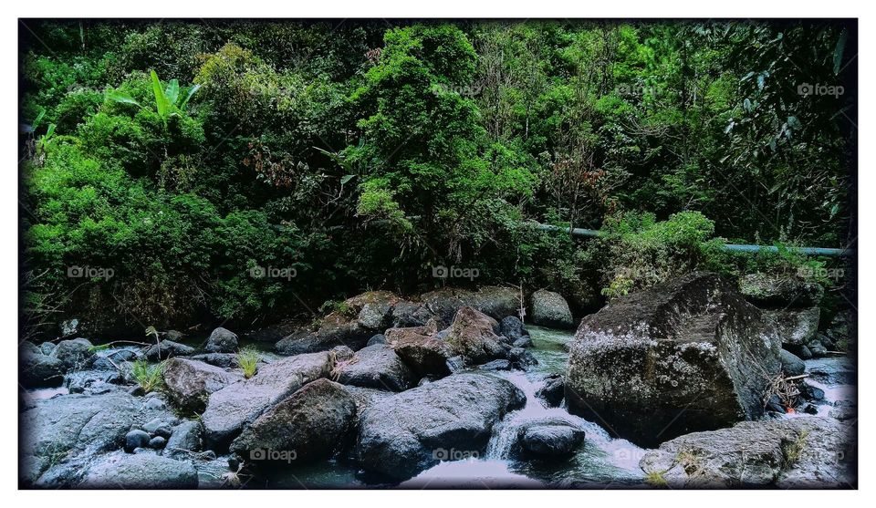 Water's river - water flows along the river, the water of river as surrounding life's resourse, rice field, fields, farms, trees, small plants, etc.