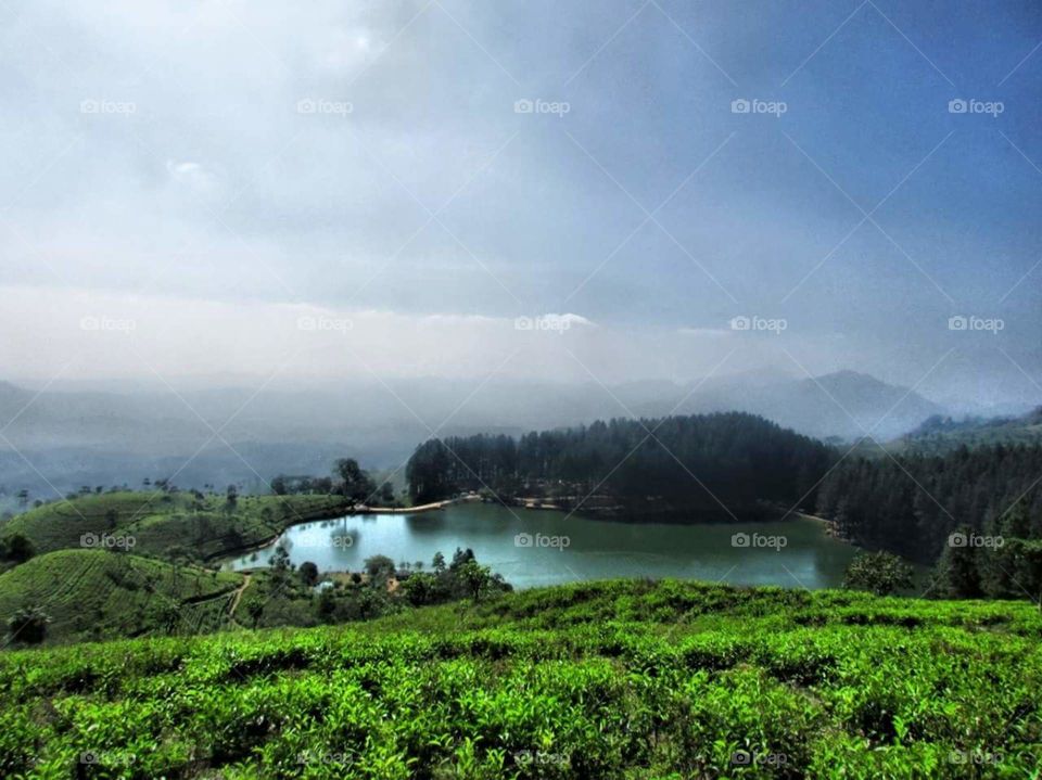 colourfull nature seance with blue watered lake with green surround
