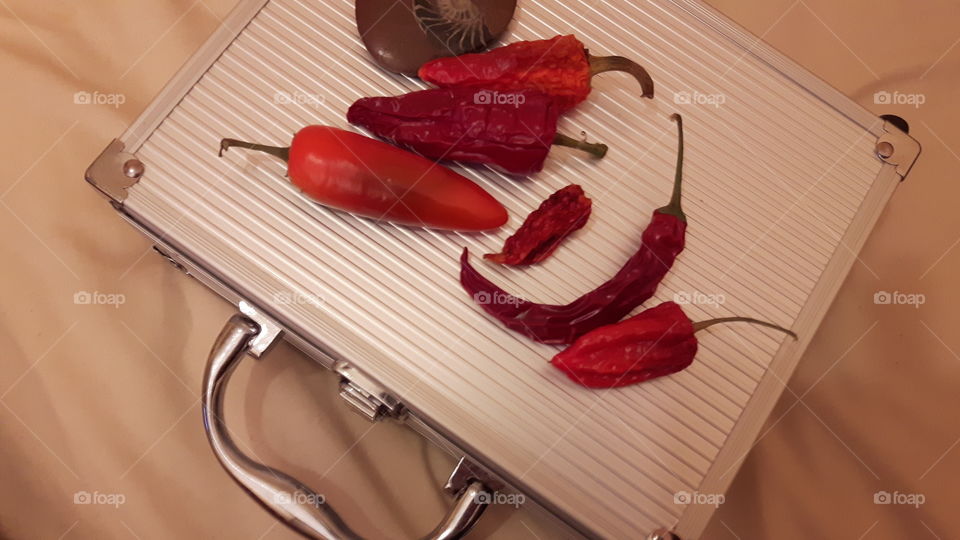 Chillies and fossils
