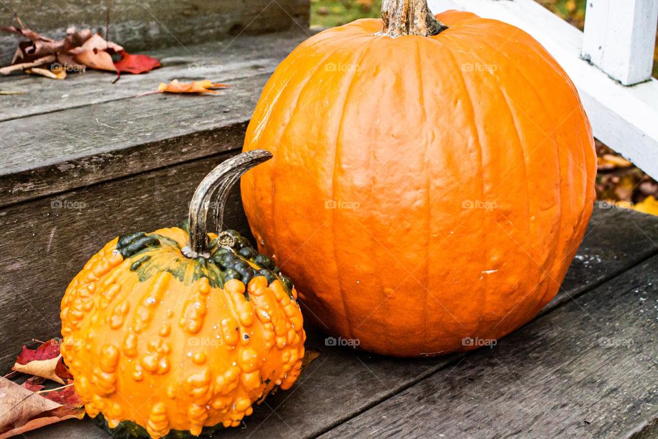 Signs of autumn in New England! Decorating for fall with a gourd, a pumpkin, and scattered fallen leaves.