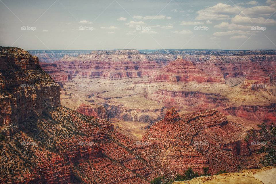 The Grand Canyon