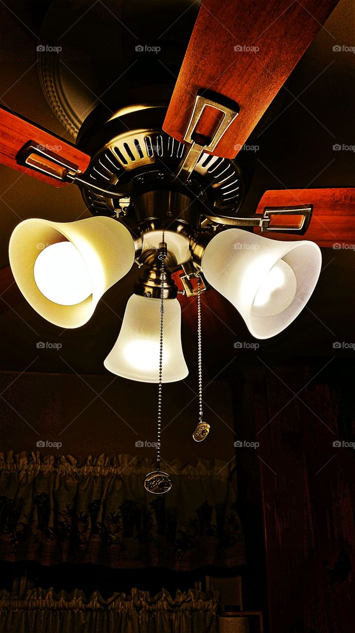 Ceiling Fan Light Fixture