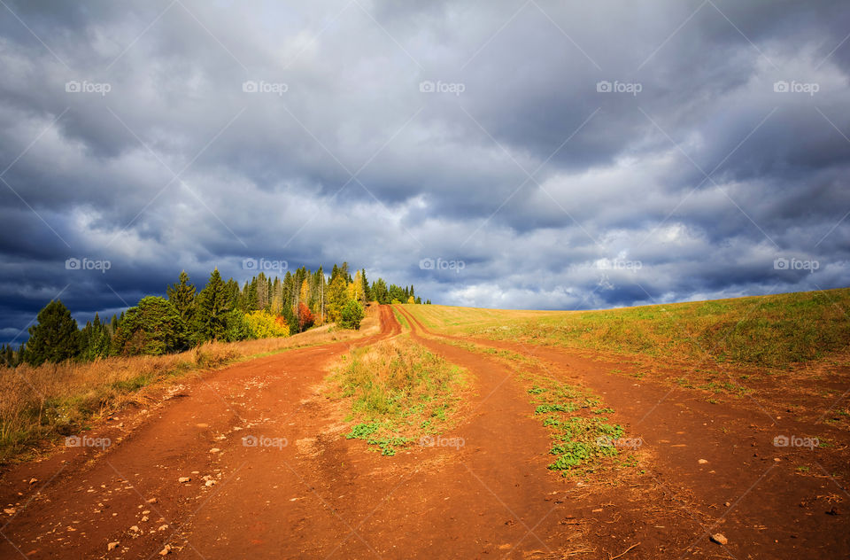 Fall landscape