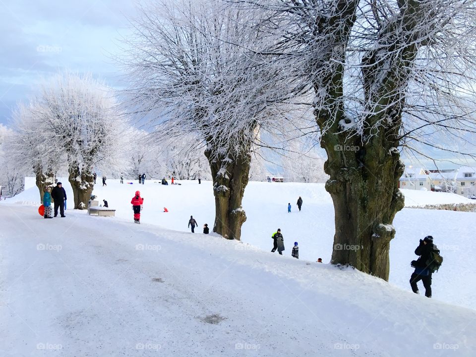 People enjoying in winter