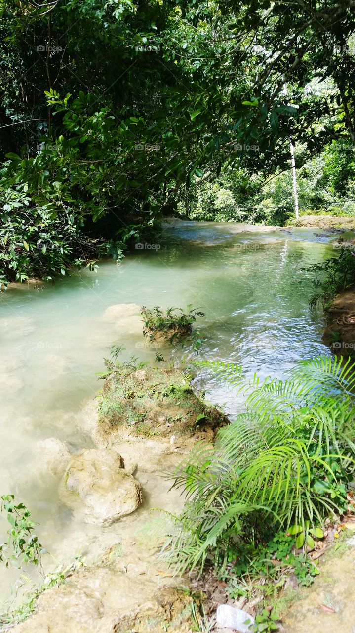 River Samana- Dominican Republic