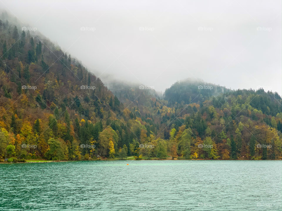 Work, save, travel, repeat!