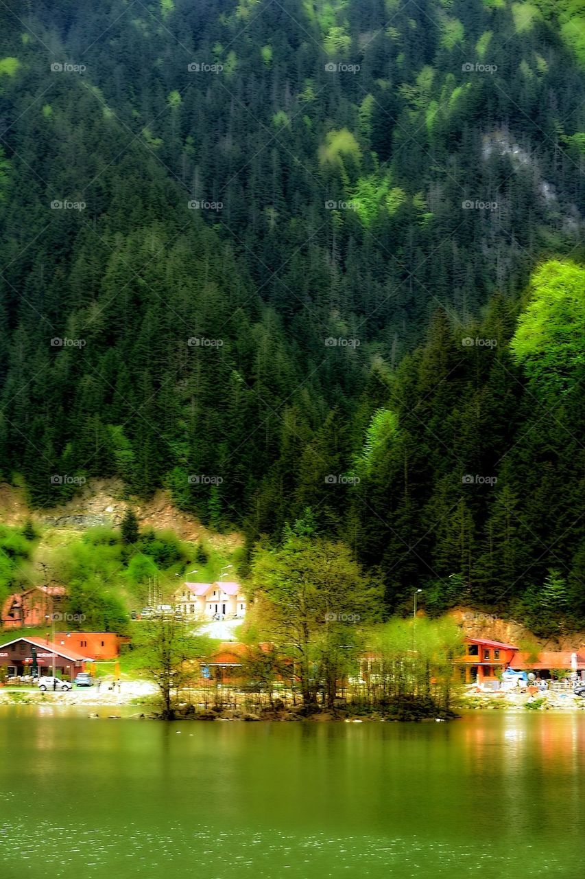 Uzungöl