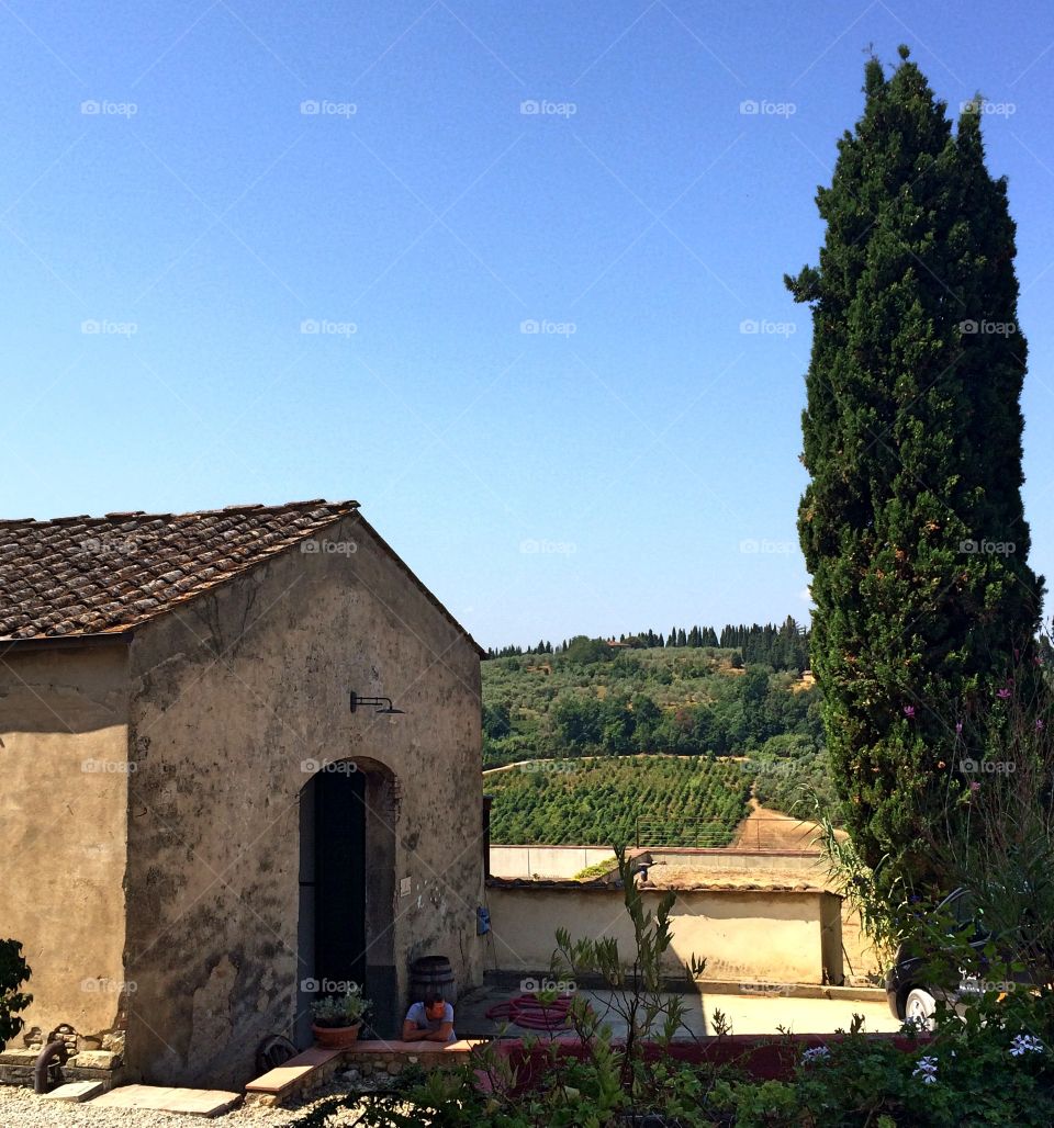 Tuscan winery. Winery in the chianti region of Tuscany, Italy. 