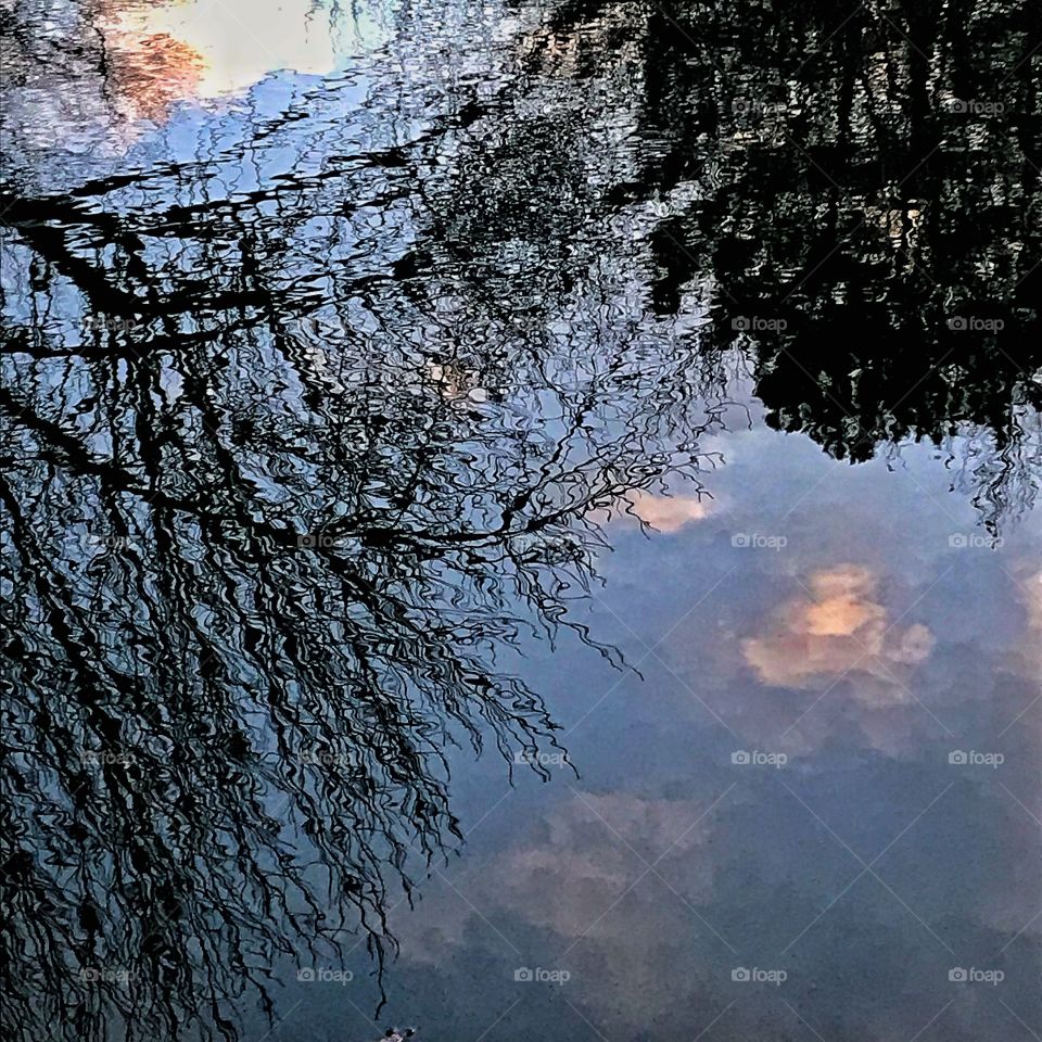 Reflections on a pond