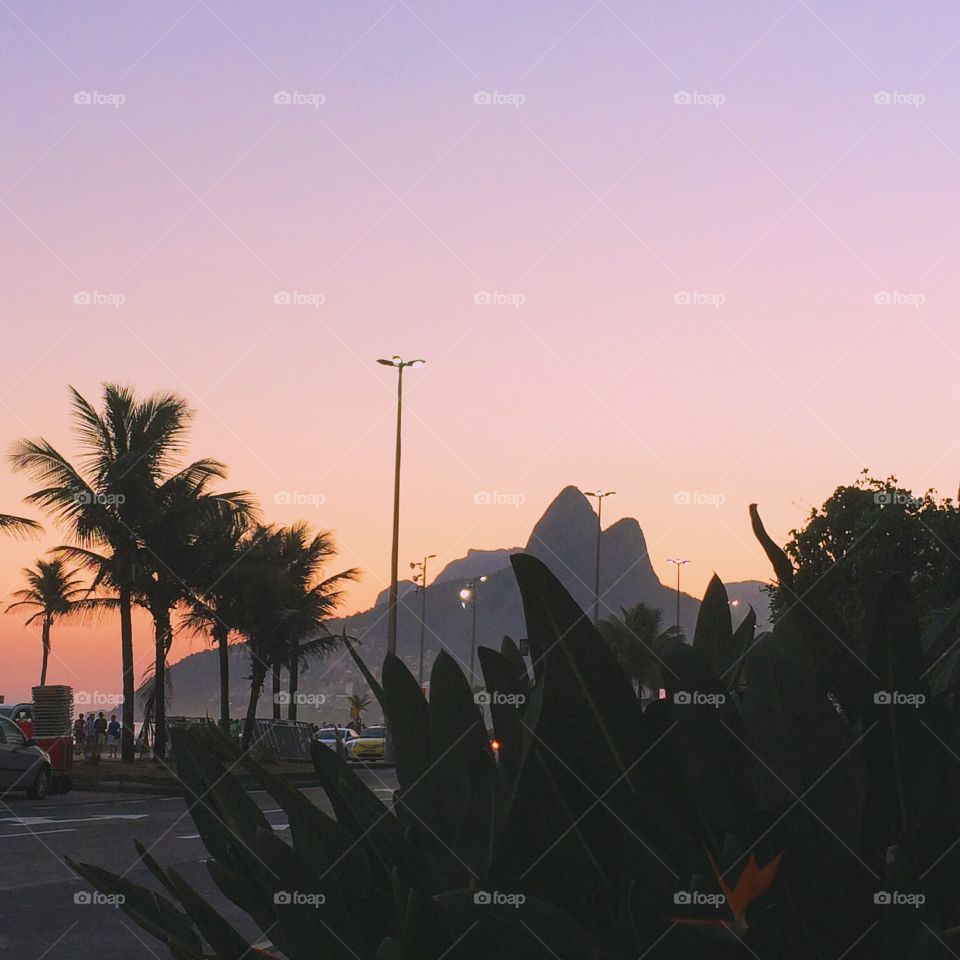 Evening in Rio de Janeiro