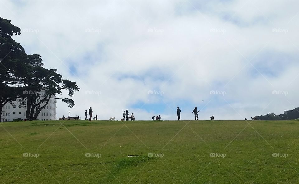 Landscape, Golf, Grass, No Person, Outdoors