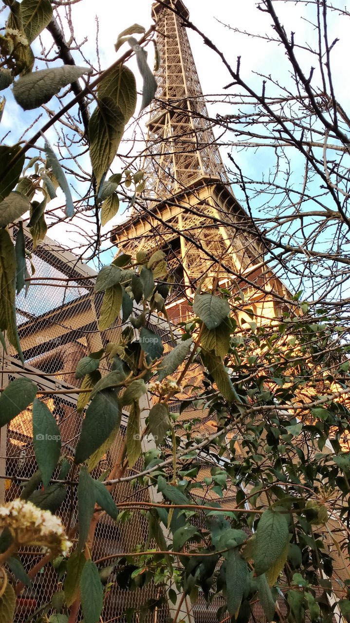 Mirando a Torre Eiffel!