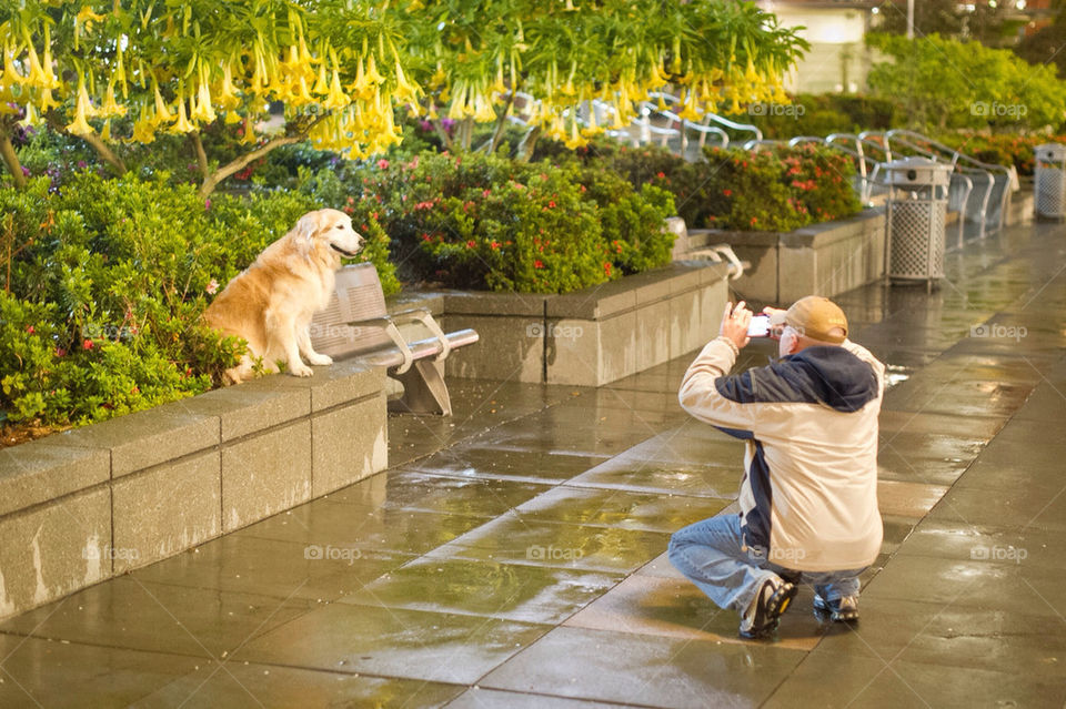Taking a portrait of his dog 