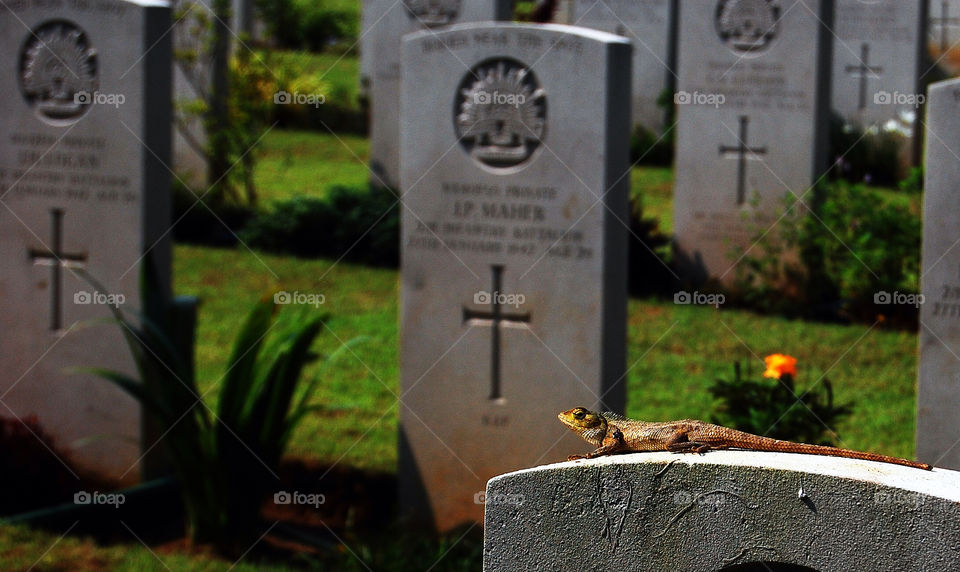 memorial graveyard lizard war by sklarian