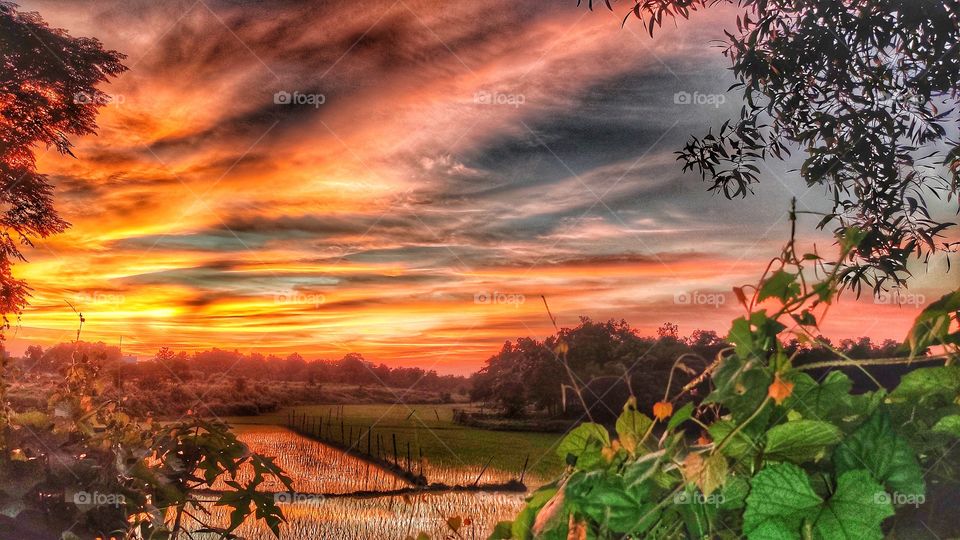 This is the beauty of our country.
Our country weather is amazing.
This photos is  click by me