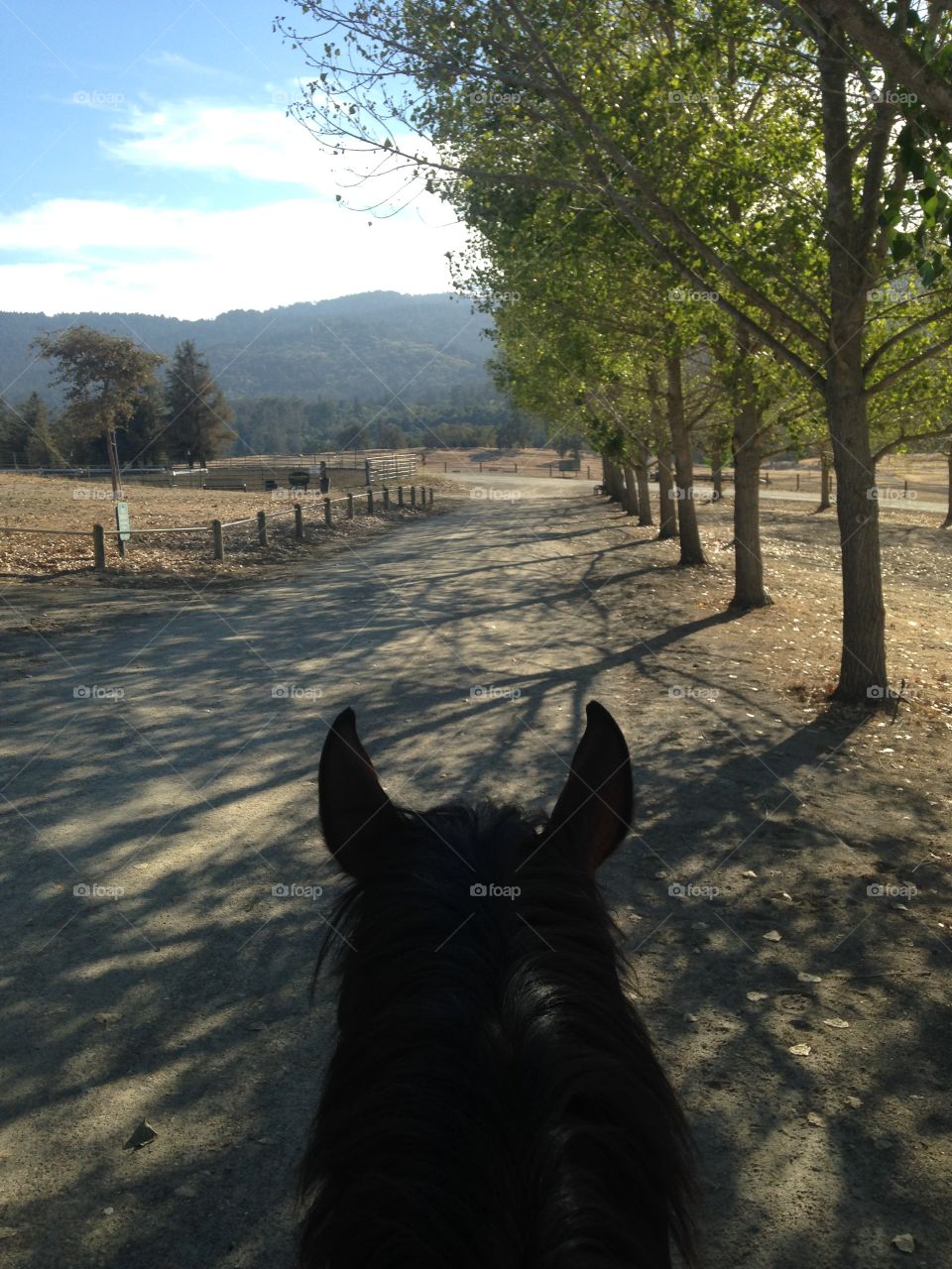 Everything looks more beautiful between a horse's ears