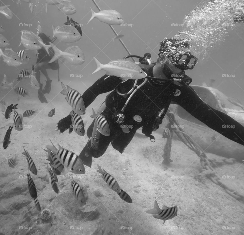 Scuba Diving With Fish, Swimming Underwater, Leisure Activity, Fish Underwater, Monochromatic Sea Scape, Monochrome Underwater Photography 
