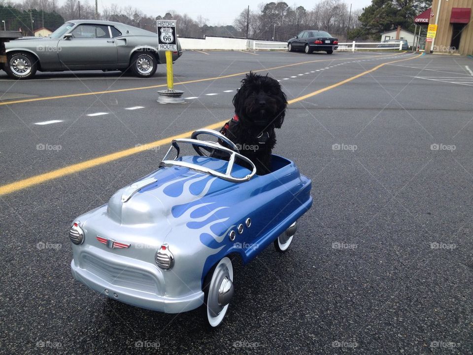Chloe's cool ride