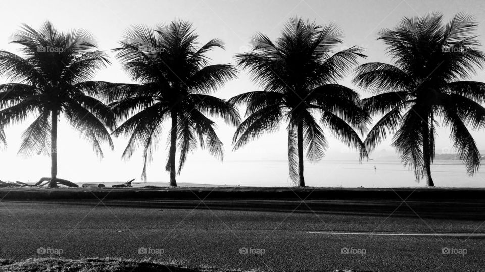 Sai a cor, mas a beleza fica!