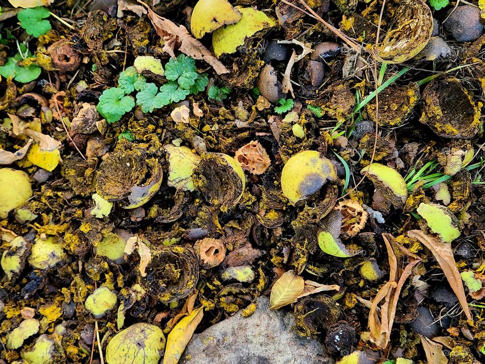 Getting Ready for Winter