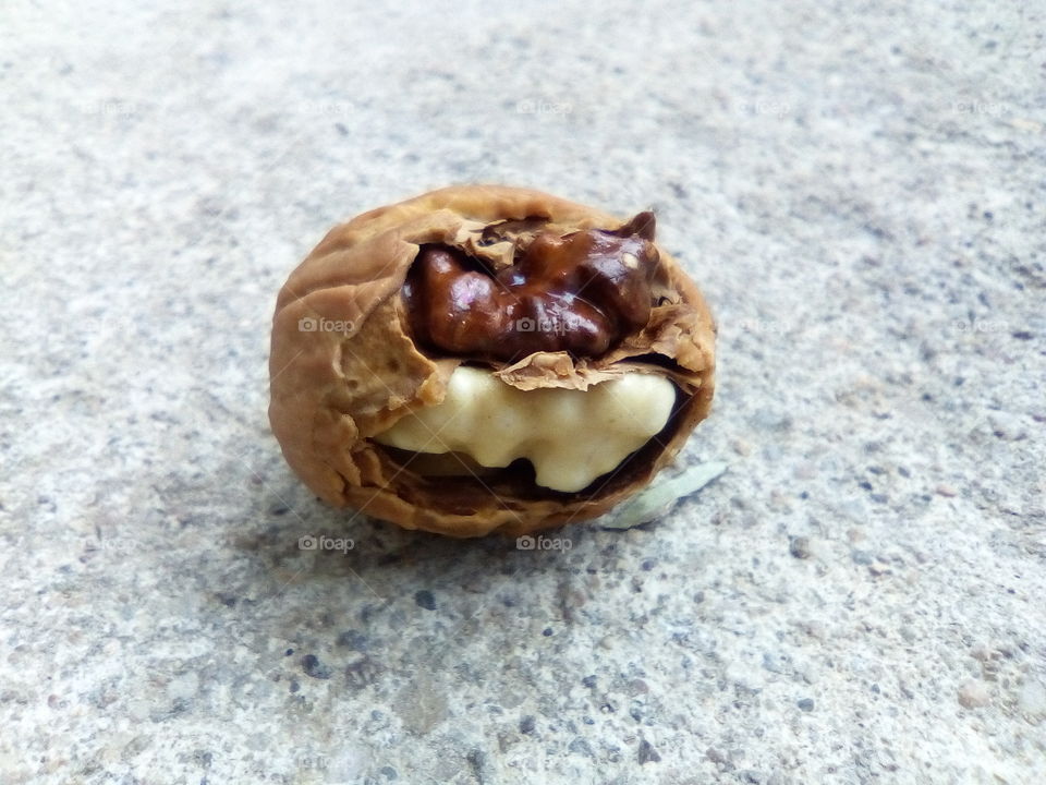 Walnut