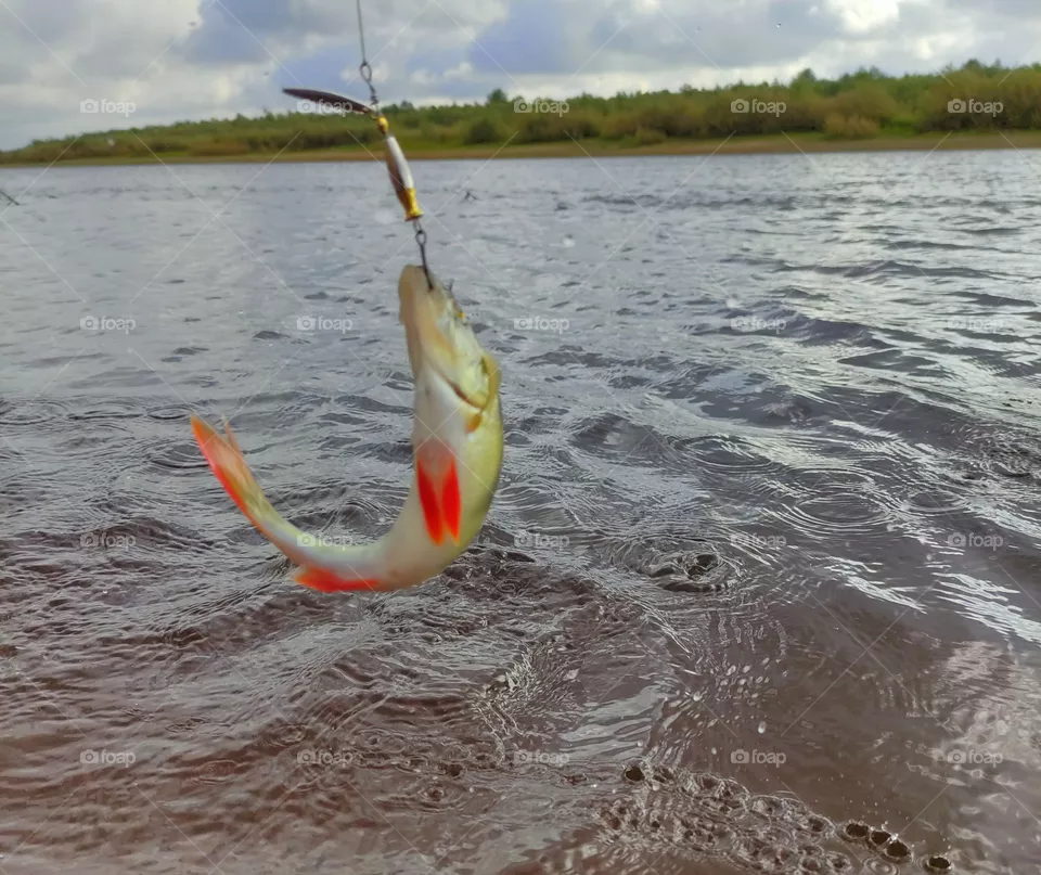 fishing