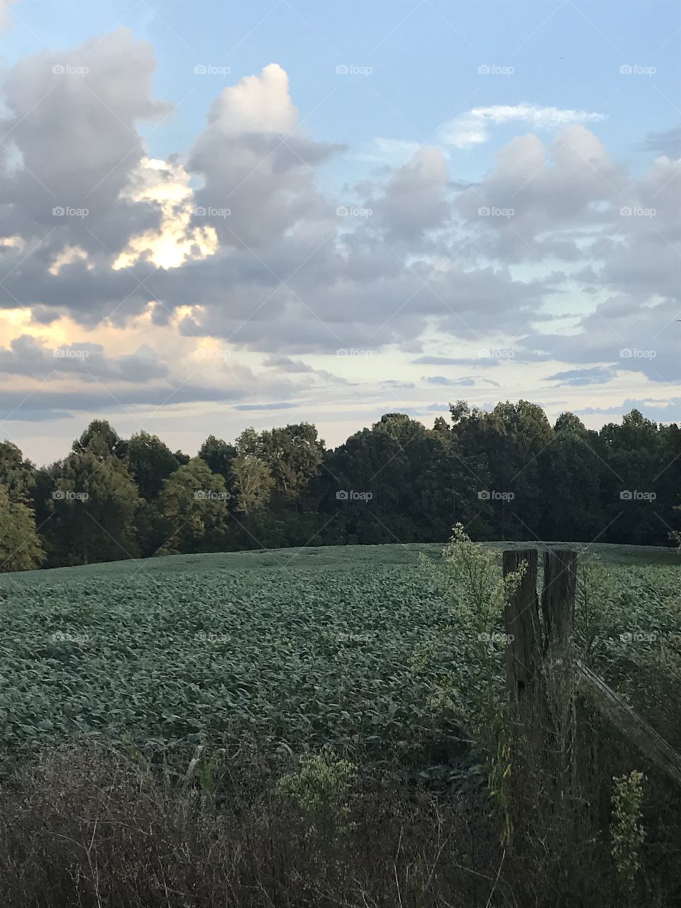 The beginning of sunset in the Bluegrass state is just as breathtaking as the sunset itself. 