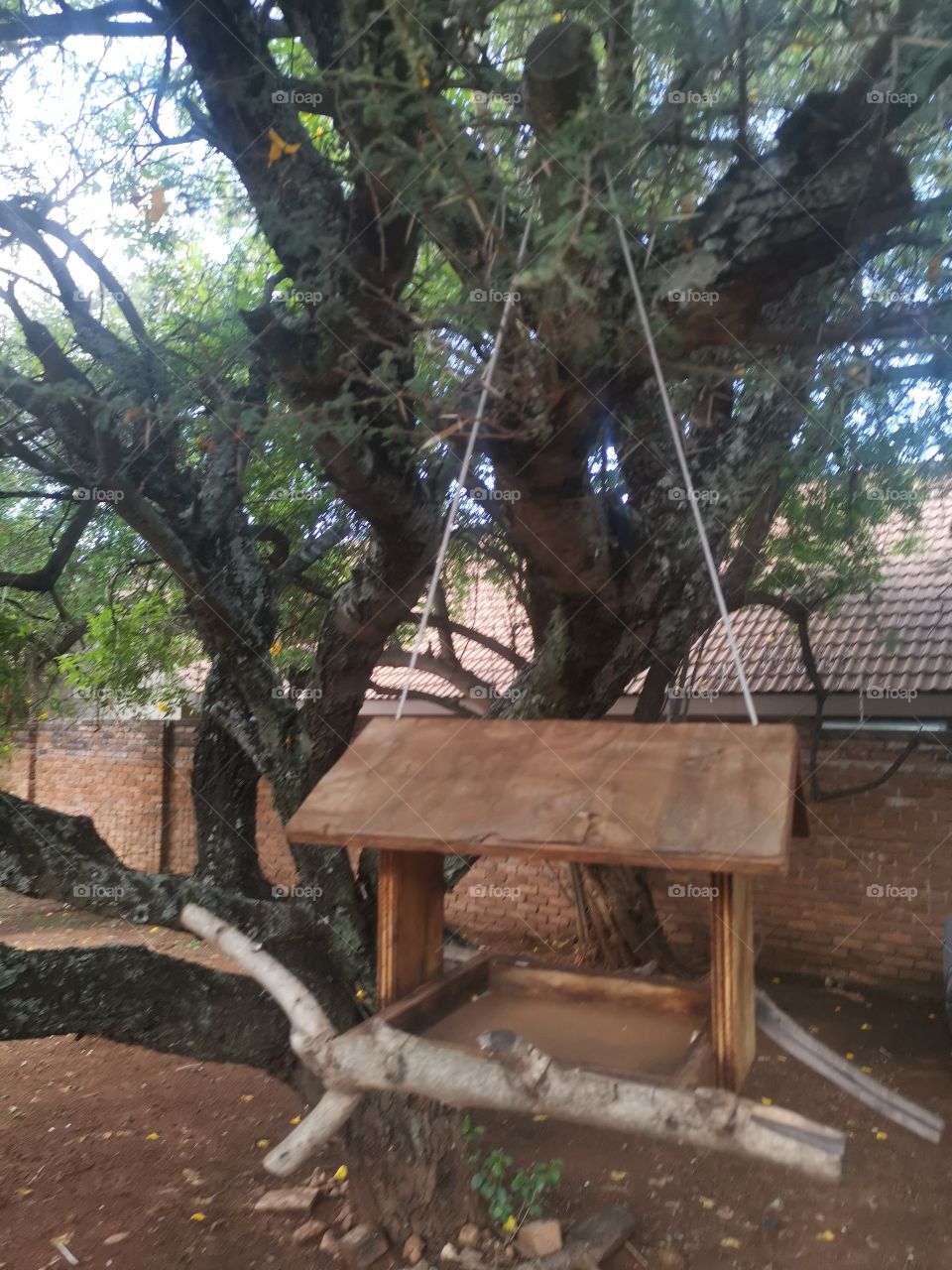 Bird tree house