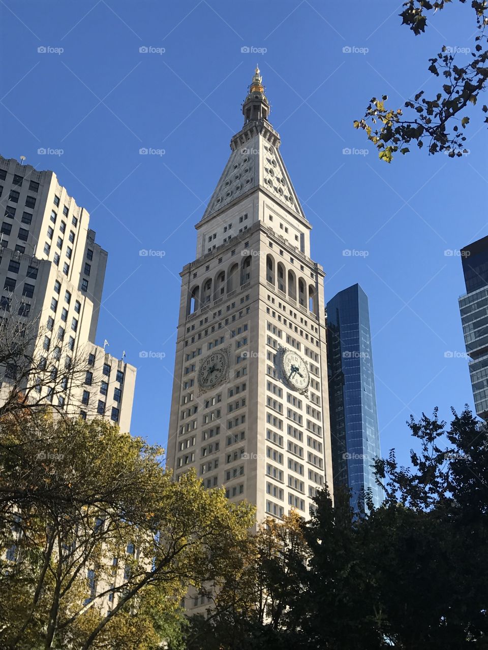 Madison Square Park NYC
