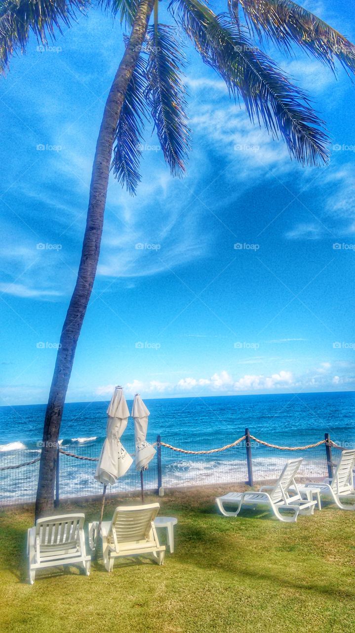 praia Salvador Bahia Brazil