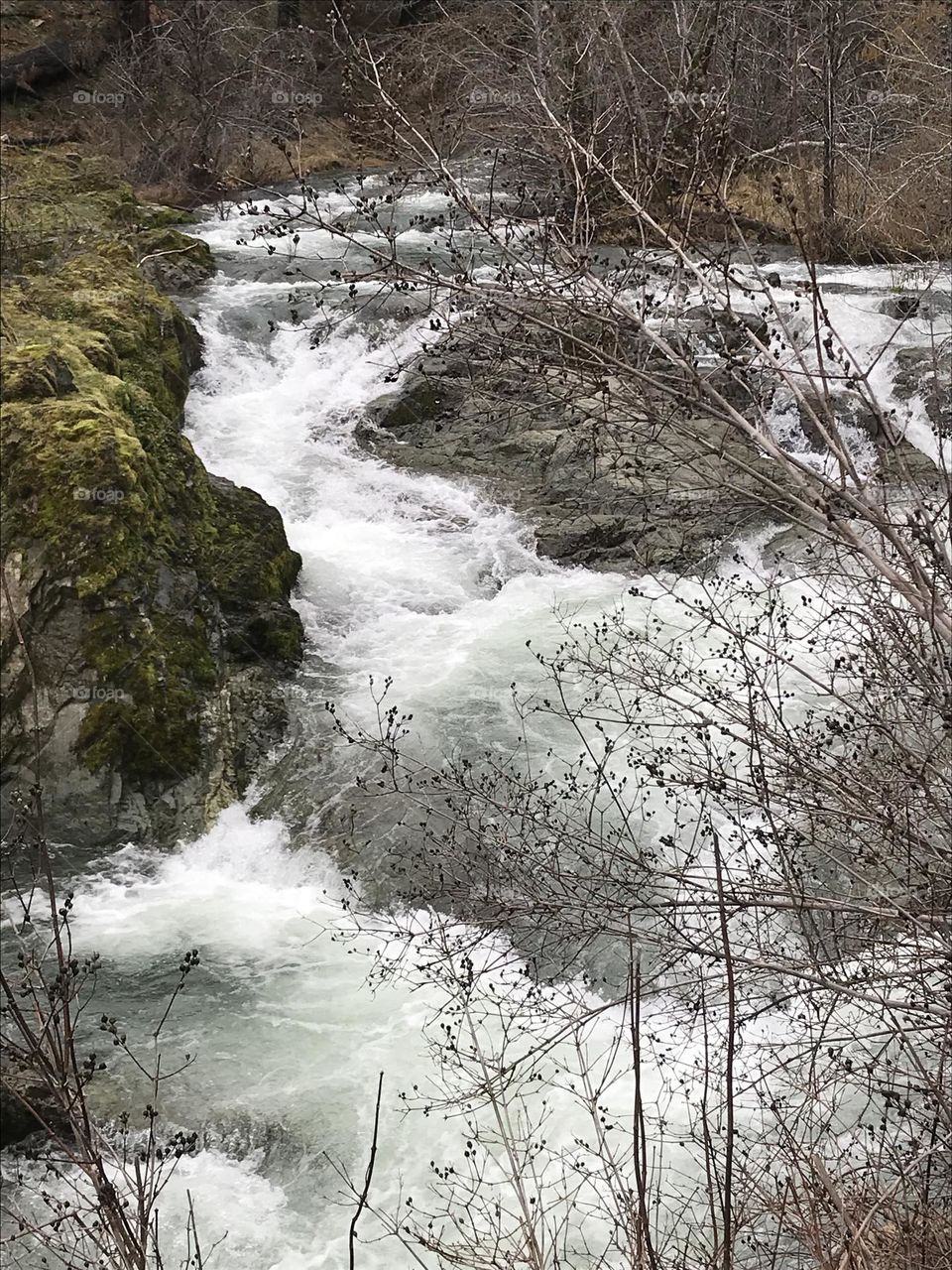 Late spring rushing creek