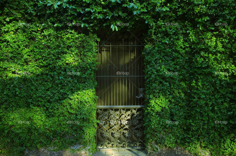 Door to the other side 