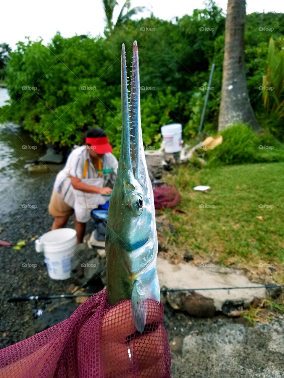 Holding fish