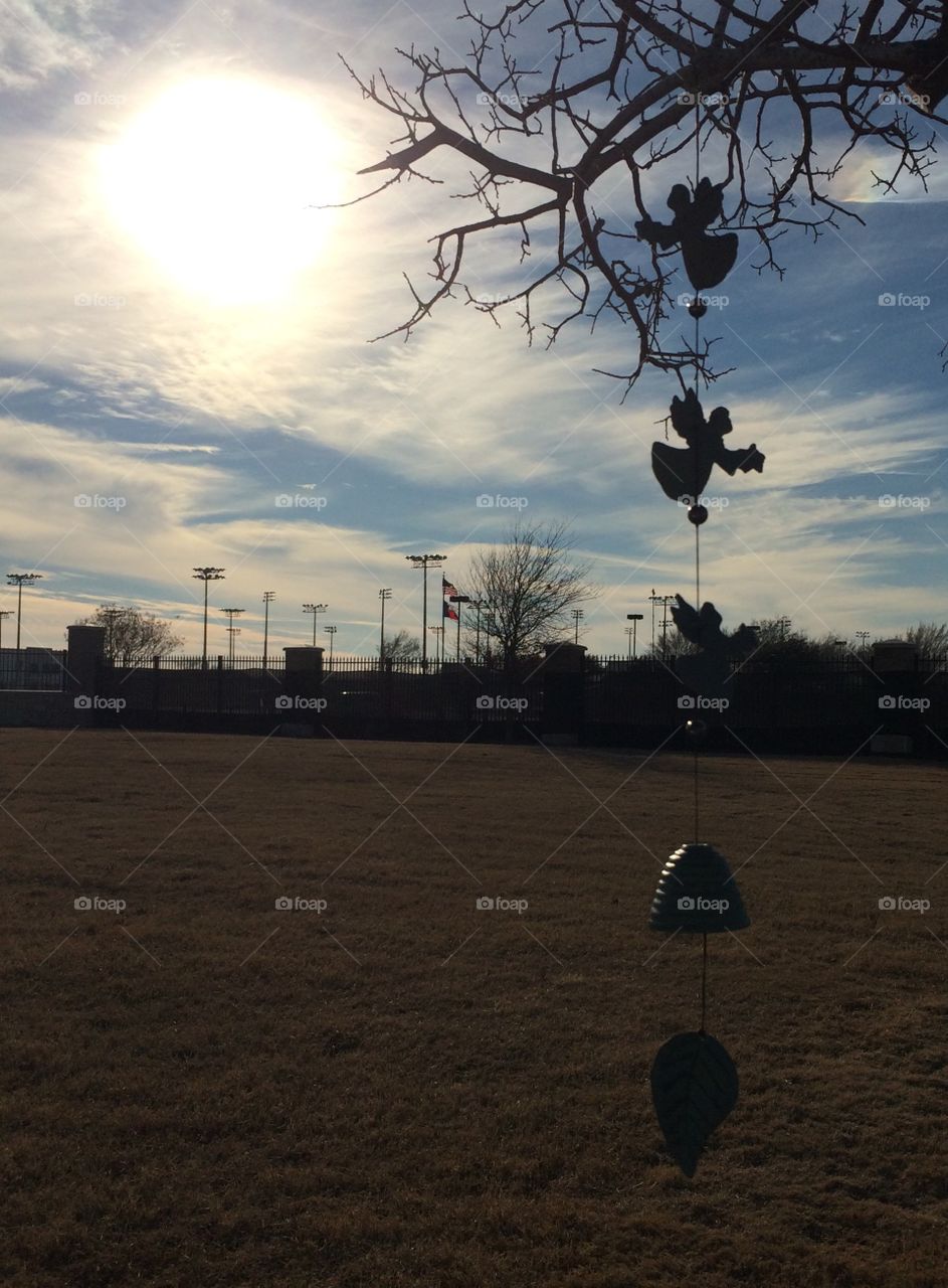 Angels in the Outfield