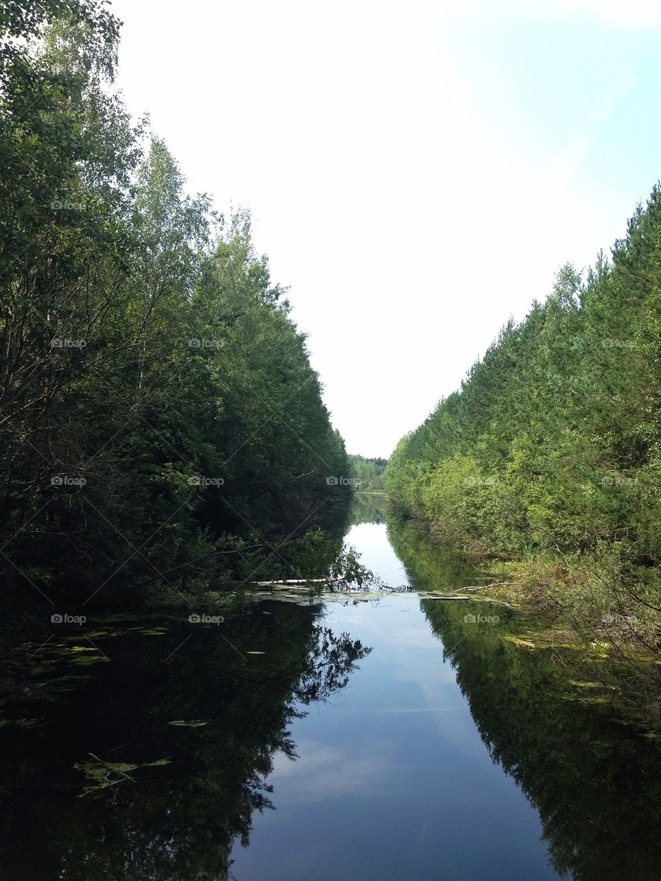 Nature reflections