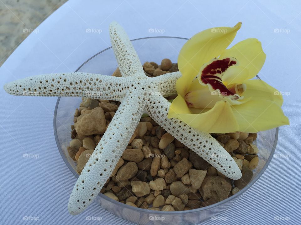Starfish and flower centerpiece 
