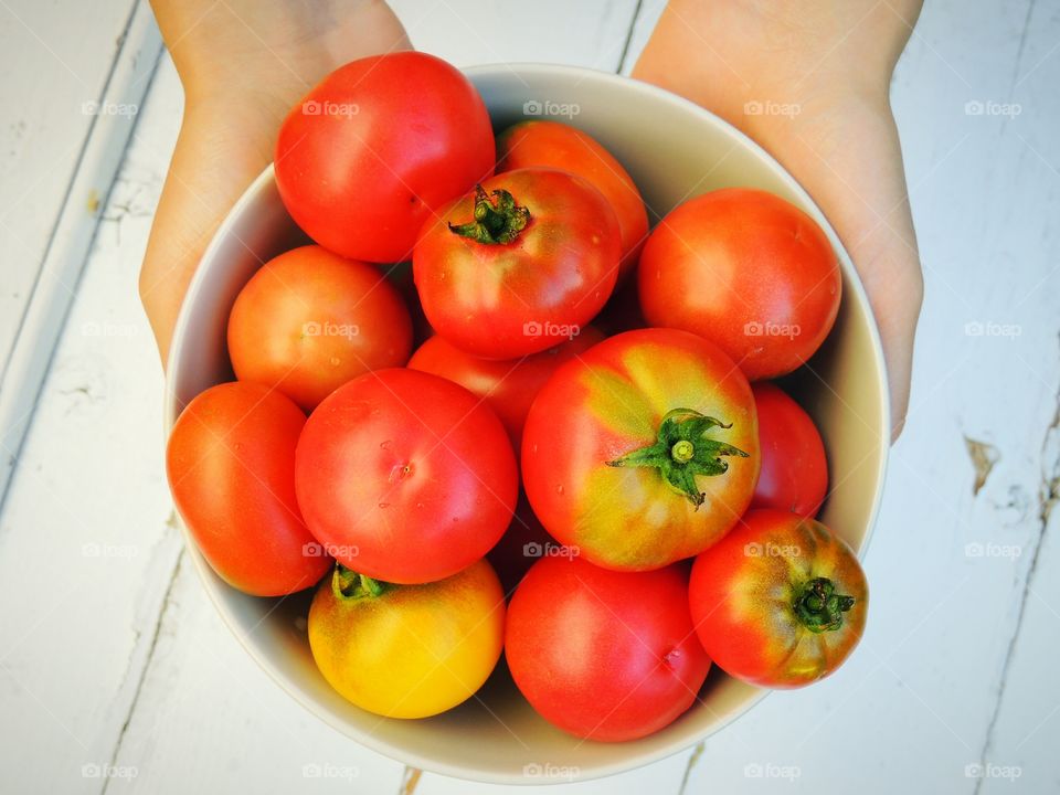 Organic tomatoes in a bowl