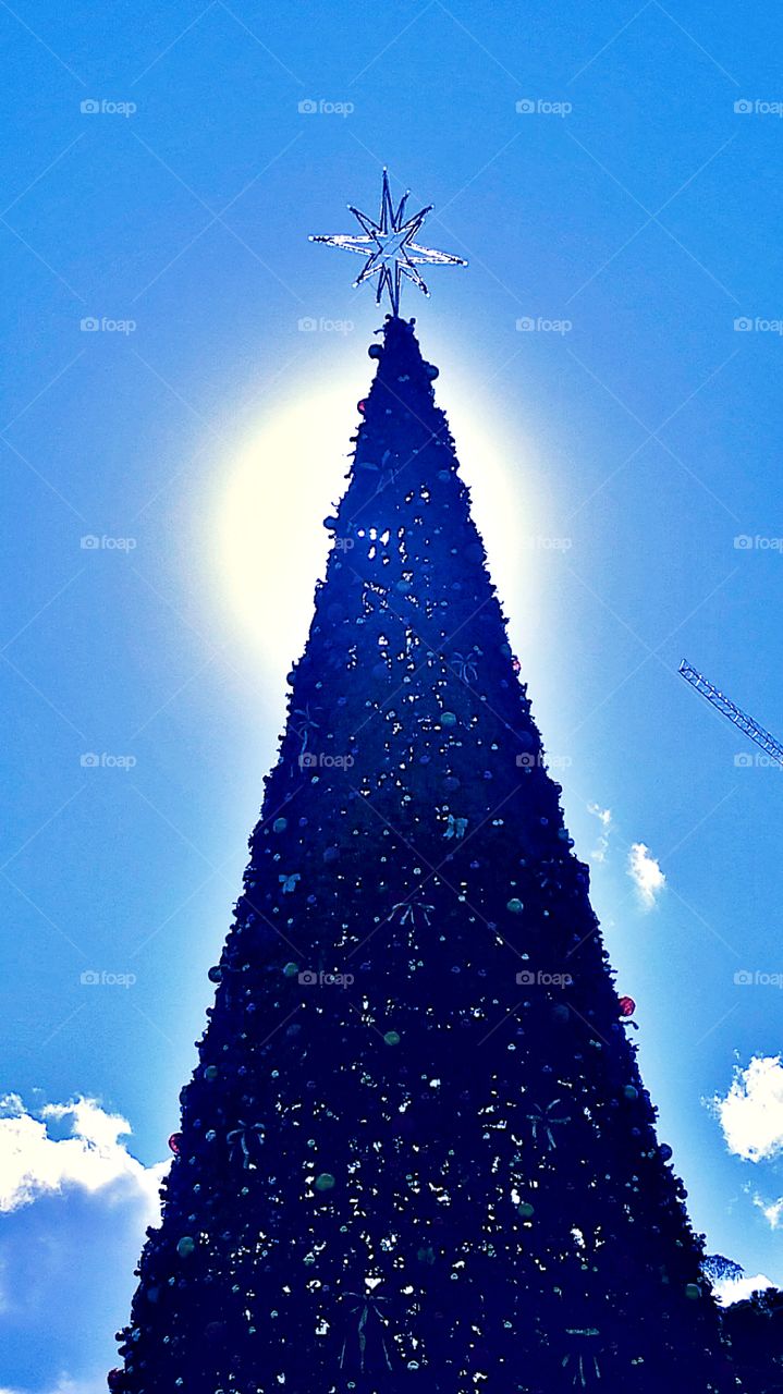 Tirana Christmas Tree