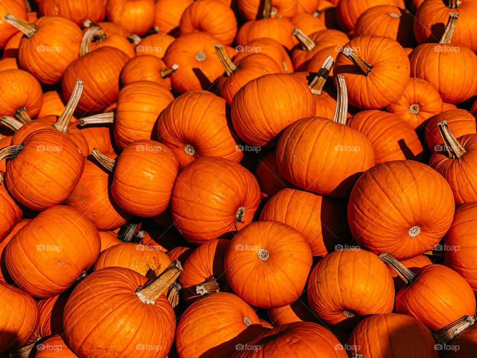 Pumpkins