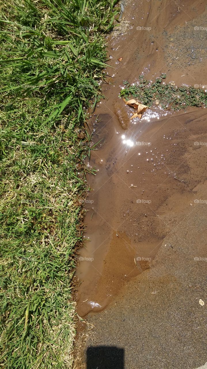 Water, Nature, No Person, Summer, Ground