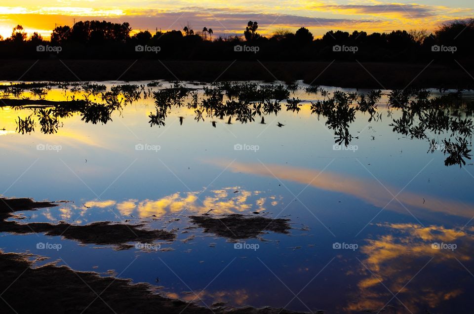 Reflection of an Arizona sunset in a lake (and if you look closely, you can see the reflection of ducks flying overhead in the middle of the lake).
