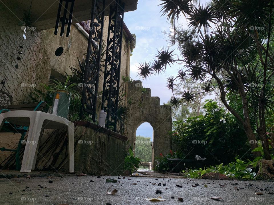 Spanish old style architecture residential large house built in the early 1900s. Other entrance doorway with antique style door, view on both side of the wall, looking up to the steps stairs style wall with trees, and vegetation growth from a porch.