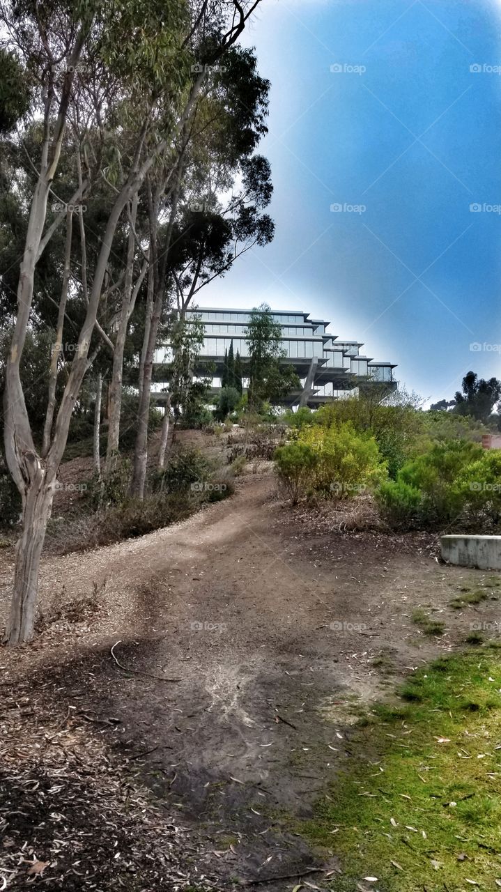 UC San Diego