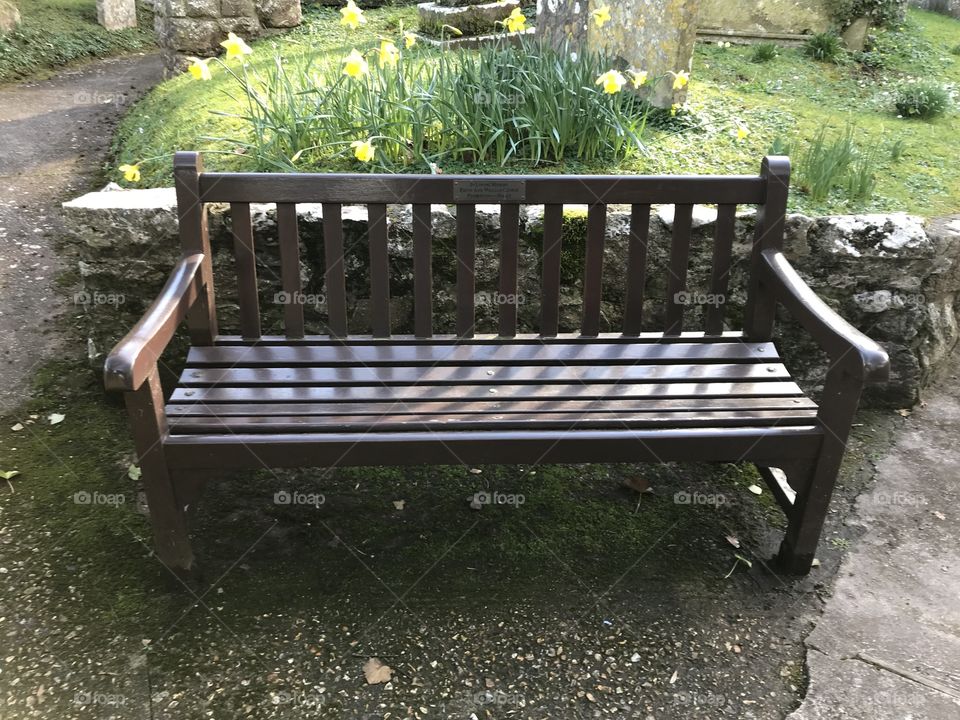 Lovely setting for a welcome rest, with a spring backdrop of daffodils.