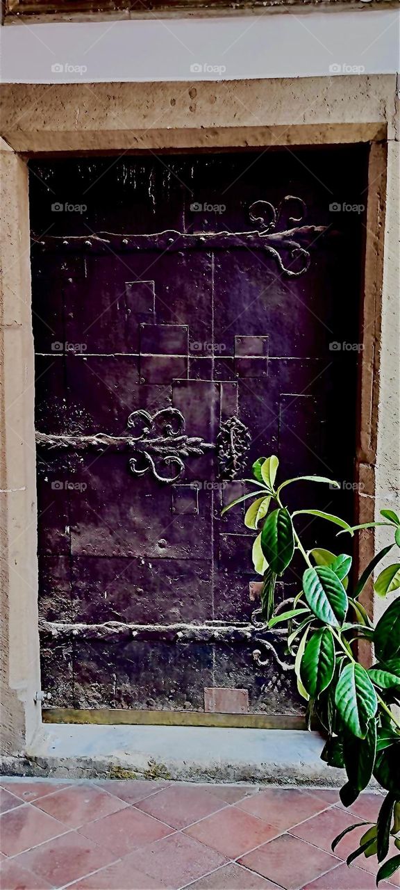 The tall front door of the popular bar and restaurant “Haus Heuport” has a rustic traditional look that makes you think you were entering a castle. 2023. Hypnotic Productions